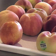 ♡ 555 likes ∙ 2 hrs